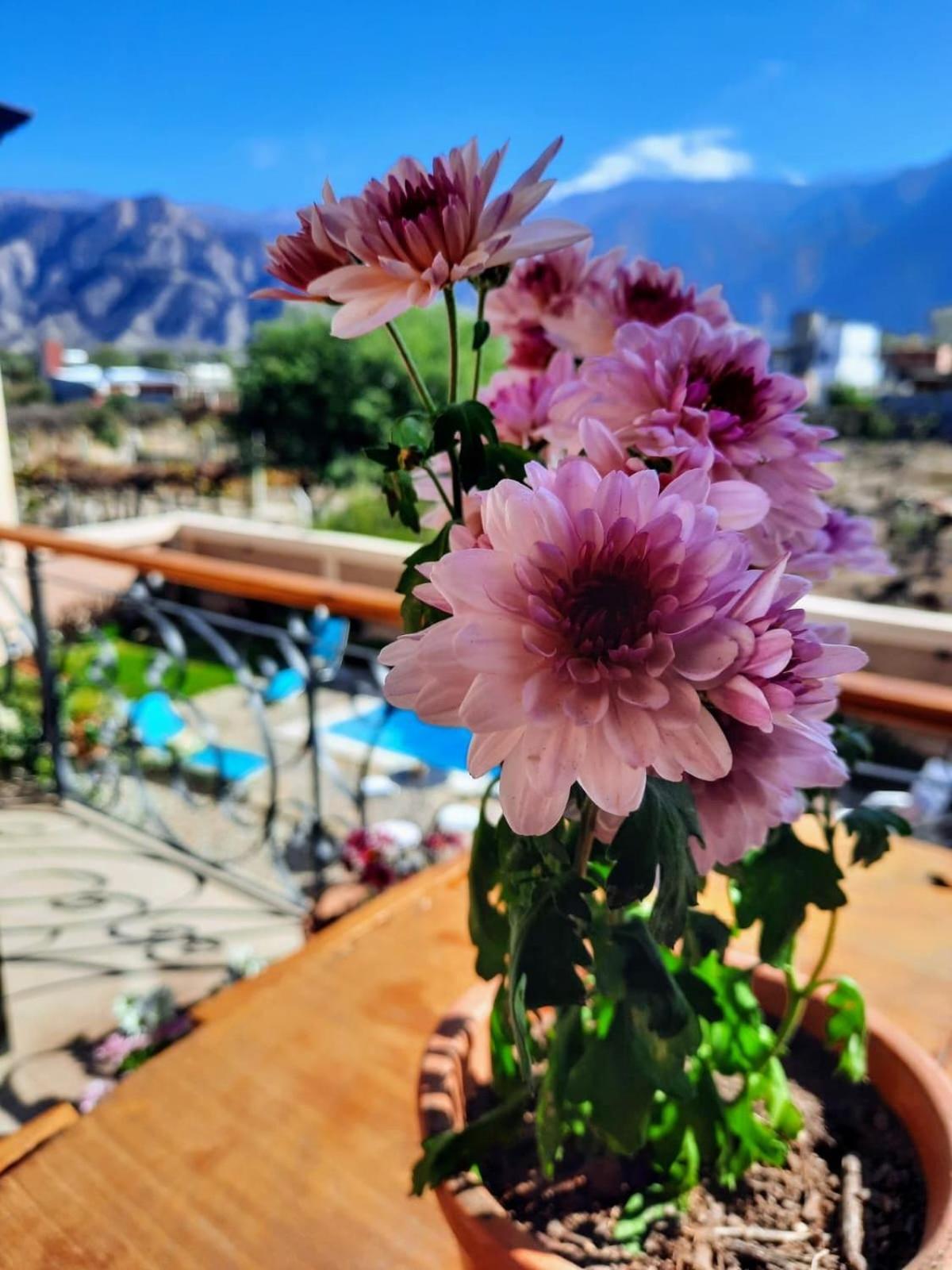 Luna De Cafayate Hotel Boutique المظهر الخارجي الصورة